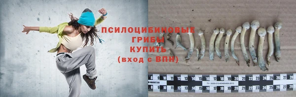 прущий лед Лагань