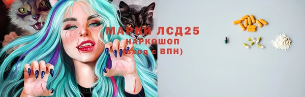 прущий лед Лагань