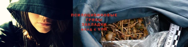 прущий лед Лагань