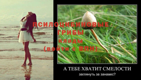 СК Ладушкин