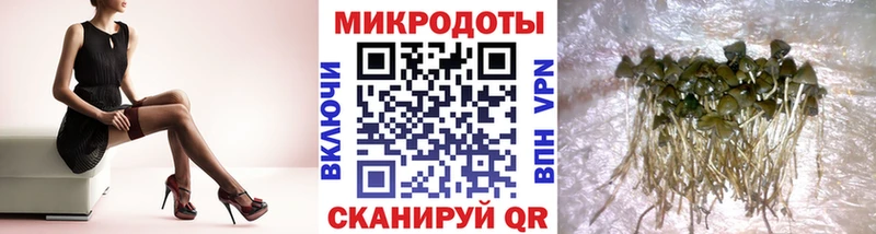 Псилоцибиновые грибы Psilocybine cubensis  KRAKEN ссылка  Чита  купить  сайты 